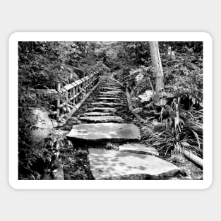 Black and white photo of stepping stone path Sticker